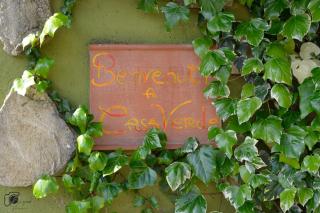 Casa Verde Country House - Montescudaio - 6