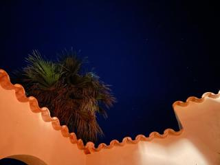 Casa Abeja - Colònia de Sant Pere - 4