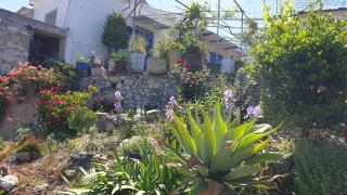 Faith's Stone House - Simou - 7