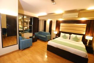 Hotel Palm Grand Naraina New Delhi - Couple Friendly Local IDs Accepted - 0