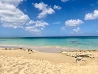 The Frederiksted Hotel - Frederiksted - 9