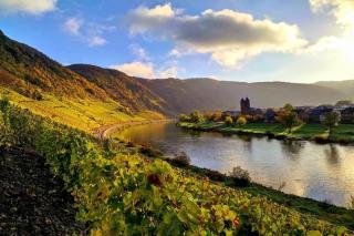 Ferienweingut Gansen / Hochgenuss 1 - Ernst - 1