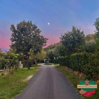 Il Moro della Molpa - Palinuro - 9