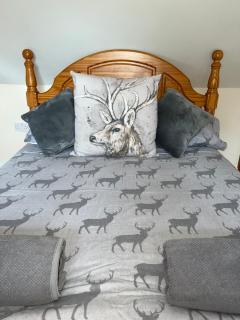 New Forest Hideaway- Self Catering Accommodation - Newbridge - 2