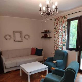 Drinski pogled - Bajina Bašta - 5