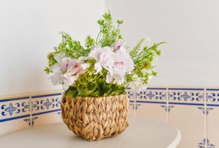 CASA DA ALDEIA II - 3