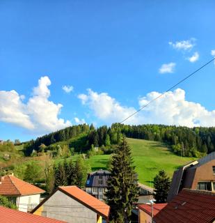Zlatar duplex - Nova Varoš - 9