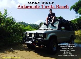 Thalia Homestay & Ijen Bromo Tour - Banyuwangi - 6