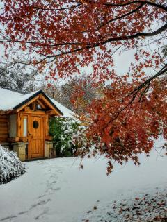 Blue Bird House - Bariloche - 0