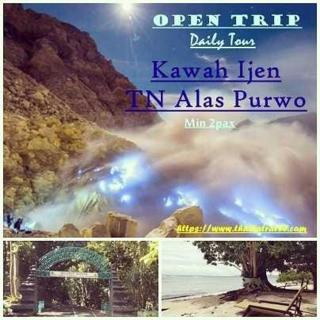 Thalia Homestay & Ijen Bromo Tour - Banyuwangi - 8