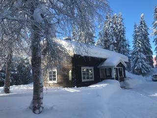 Lillfallet mysig fjällstuga med bästa läge på fjället - Sälen - 7