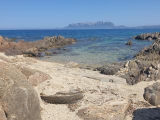 Home on Sardinia beach - Olbia - 4