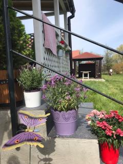 Bungalowfarm - Rewal - 7