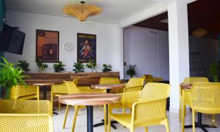 Trebol Amarillo Bed & Breakfast - Escazu - 0