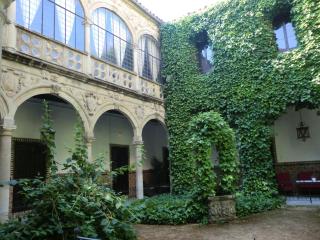 Palacio de la Rambla - Úbeda - 1