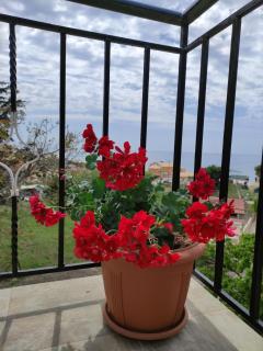 House Theofilos - Paramonas - 3