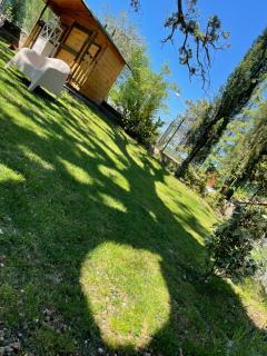 Il leccione - 9