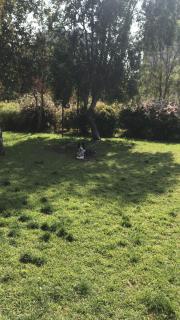 Casa San Alfonso Cajon del Maipo - 1