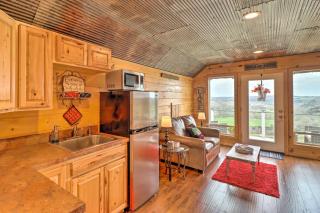 Rustic Norfork Studio with Million Dollar View! - Norfork - 2
