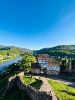 Neckarblick,Natur, Altstadt - Hirschhorn - 2