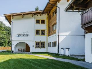 Forellenhof up to 60 people - Angerberg - 0