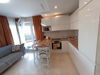 APARTAMENTY BARSKA 69 - Cracóvia - 4