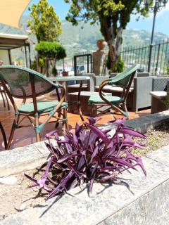 Hotel Mareluna Ischia - Ischia - 8