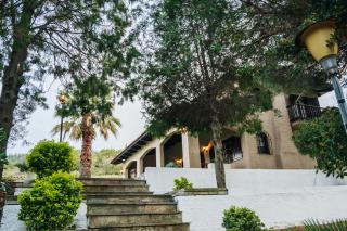 The Tree House - Áyios Andréas - 2