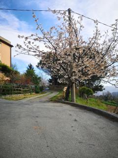 B&B GENOVA COUNTRY - Fegino - 7