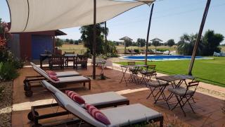 Quinta dos doze Sobreiros - Quarto Sol - Ferreira do Alentejo - 4
