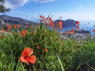 al numero zero - Città di Lipari - 5