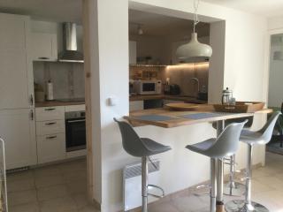 Spacious Pied à Terre with courtyard garden - Dernacueillette - 7