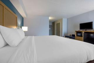Comfort Inn & Suites Alexandria West - Alexandria - 5