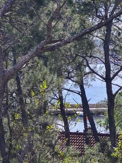 Apartment with Forest & Sea View - Seline - 3