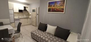 Apartament w sercu Ciechocinka - Ciechocinek - 3