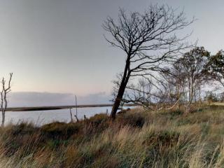 Watt´n Blick - Hundefreundliches Ferienhaus mit Ausblick über die Wiesen bis zum Deich - Schweiburg - 3
