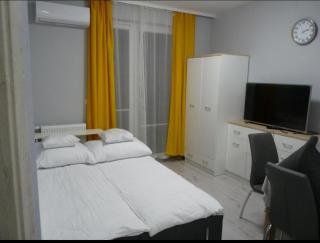 Apartament w sercu Ciechocinka - Ciechocinek - 5