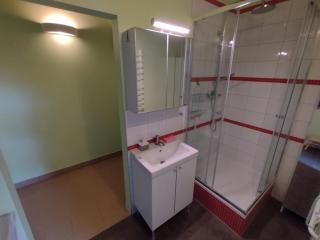 Apartament Łoś i Ryś - Zła Wieś Wielka - 8