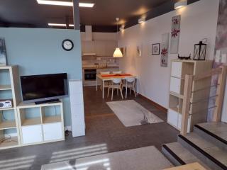 Apartament Łoś i Ryś - Zła Wieś Wielka - 7