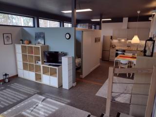 Apartament Łoś i Ryś - Zła Wieś Wielka - 6