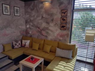 Apartament Łoś i Ryś - Zła Wieś Wielka - 5