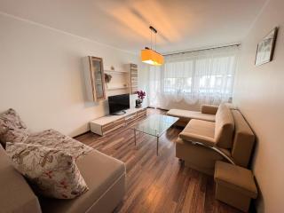 Airida forest apartament - Druskininkai - 0