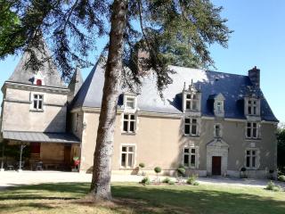Manoir de la Touche - Azay-le-Rideau - 9