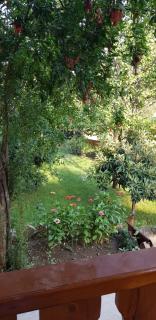 Wooden Cottages - Mtskheta - Mtskheta - 6