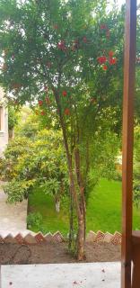 Wooden Cottages - Mtskheta - Mtskheta - 4