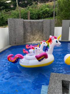 Villa near SPICE Arena 4BR 24PAX with KTV Pool Table and Kids Swimming Pool - 7