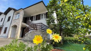 Iva Apartments - Novigrad - 0