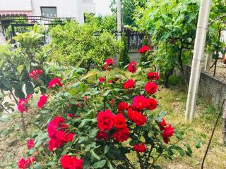 Villa Ajla - Durazzo - 5