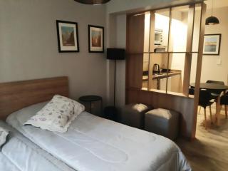 Apartamento Deluxe en pleno centro de Mendoza WiFi gratis - Mendoza - 5