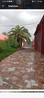 PalmTree - El Jadida - 8